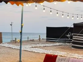 ROYAl FINS CAMP