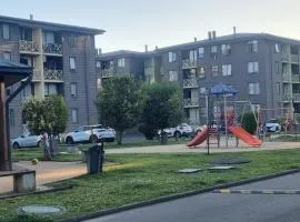 Departamento entrada norte de Temuco