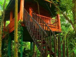 The Hidden Treehouse, lomam&ouml;kki kohteessa Massalapitiya