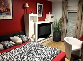 Large apartment for 3-10 people near Halle and Leipzig
