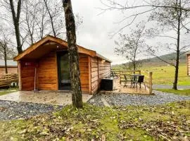 1 Bedroom Log Cabin in Parc Pen y Bryn Sleep 2 3