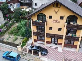 Casa Lupascu