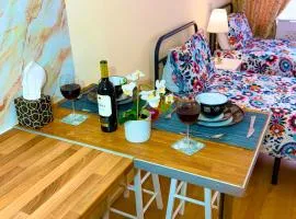 Sleep-2 Studio-Free Parking Pet-Tottenham Stadium