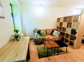 Apartament OLIWKOWY Świętoduska 12