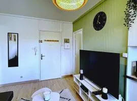 SOH Rent Strasbourg appartement wifi terrasse
