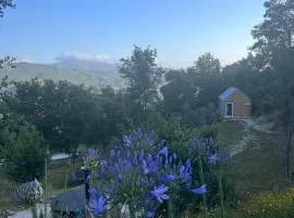 Monkey Tiny Barnhouse with amazing views!