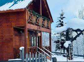 Hill SilENCE MESTIA 1