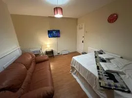 Beautiful private Double Room in a shared 3-bedroom apartment minutes walk from Bethnal Green