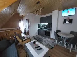 Vila MINA LUX