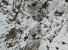 Kopaonik Foka