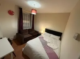 Beautiful private Double Room in a shared 3-bedroom apartment minutes walk from Bethnal Green