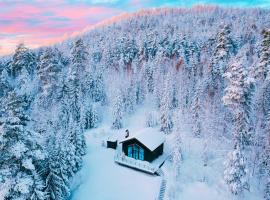 Newly built cabin with sauna, fireplace and amazing view, apartmanh&aacute;z J&auml;rvsőben