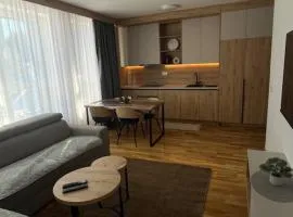 Aparthotel Vučko Jahorina-Apartman M&M&M-privatni apartman