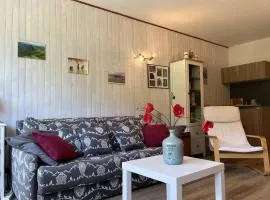 Studio confortable, idéal pour 4, avec balcon, proche pistes et centre bourg ! - FR-1-548-35