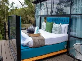 The Stargazing Cube - Misty Mountain Reserve