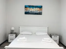 Apartments Domovik Mira 11s/20