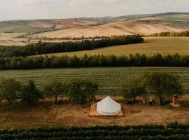 Bojanovská Glamping