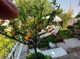 Nikos Stone House 80m from the beach with wifi