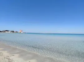 Casa Zaffiro - Sant' Isidoro - Porto selvaggio -Porto cesareo