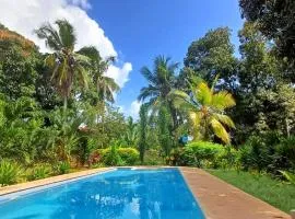 Cycad Palm Diani