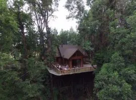 Quebrada del Chucao