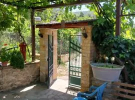 Guest House Guri