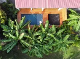 Le Jardin de La Tortue Verte