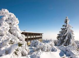 Wellness-& Nationalpark Hotel Schliffkopf, BWSC, hotel v destinaci Baiersbronn