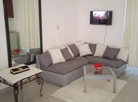 Apartamento A Vista Catalina
