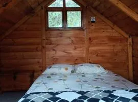 Cabaña en el Campo