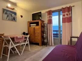 Studio 19m² à Samoëns, 4 pers, animaux admis, parking - FR-1-629-144