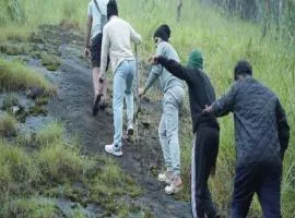 Wooden creek tent camping