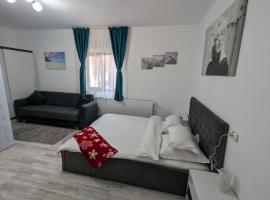 Cazare La Piatra Buhei, khách sạn ở Câmpulung Moldovenesc