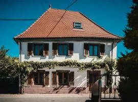 Casa Kaiserstuhl Spätburgunder