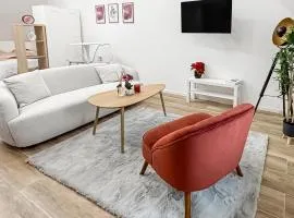 Élégant cocon au cœur de Montargis