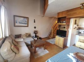 Duplex Chalet Edelweiss - La Plagne Montalbert, Hotel in Montalbert