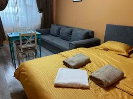 Berki home