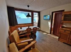 Accogliente trilocale in pista a Folgarida