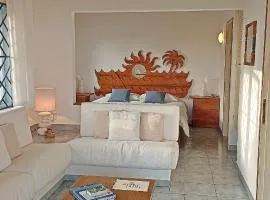 Amuse Bush Villa
