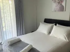Poly s home