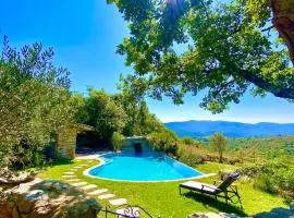 Wild boar mountain, South of France very private and pool