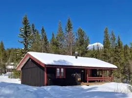 Sauna | Wi-Fi | Terrace | Wood stove | Cable TV