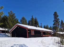 Sauna | Wi-Fi | Terrace | Wood stove | Cable TV โรงแรมในลอฟดาเลน