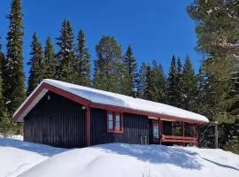 Sauna | Wi-Fi | Terrace | Wood stove | Cable TV