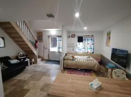 maison luxe disney aeroport tillé 2 a 5 personnes