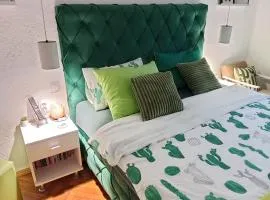 Green Cactus Rooms - unique and cozy house