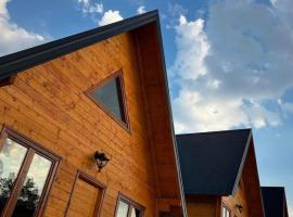 Vista Wood, villa in Žabljak