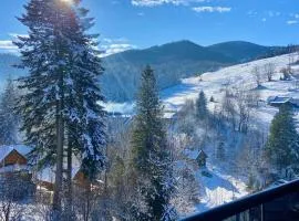 Apartament Widoknastok