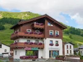 Bike Ski Appartaments