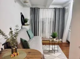 Apartament Centrum SIGMA